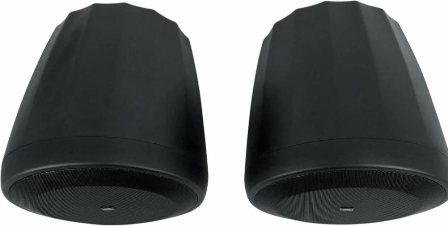 JBL C60PS/T Professional Hanging Pendant Subwoofer Pair with Passive Crossover, Black